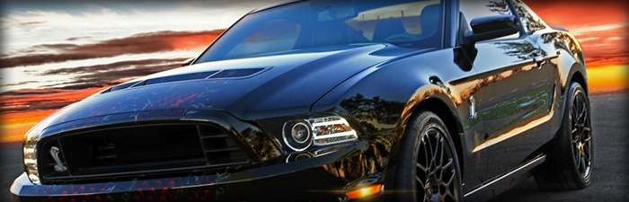 MorganMustangSunrise Header